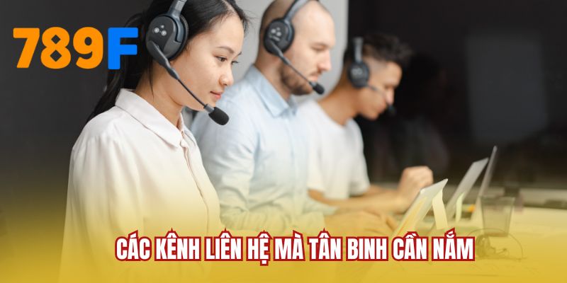 Các kênh liên hệ mà tân binh cần nắm