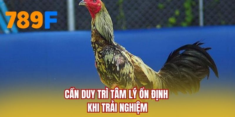 Cần duy trì tâm lý ổn định khi trải nghiệm